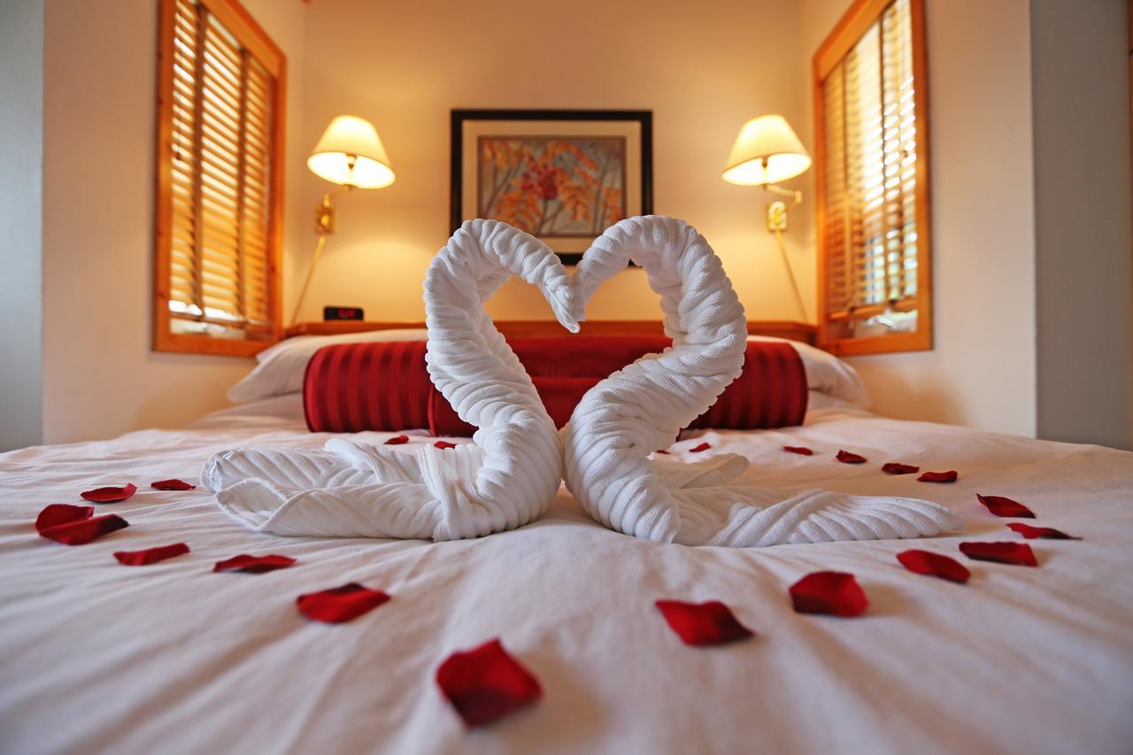 HOTEL BEAUJOLAIS BOUTIQUE B&B AT THEA'S HOUSE BANFF (Canada) - from £ 379